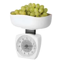 Romana Mecanica de 11 Libras / 5 Kilogramos con Tazon de 6 Tazas TAYLOR 3701KL