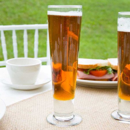 Copa Pilsner Catalina de 12 Onzas LIBBEY 3828