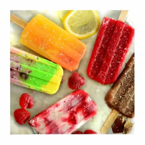 Molde de Paletas de Helado NORPRO 423