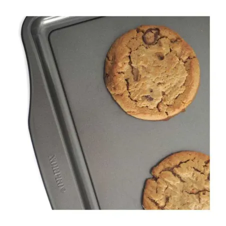 Bandeja de Teflon de 17 x 11 Pulgadas NORPRO 3924