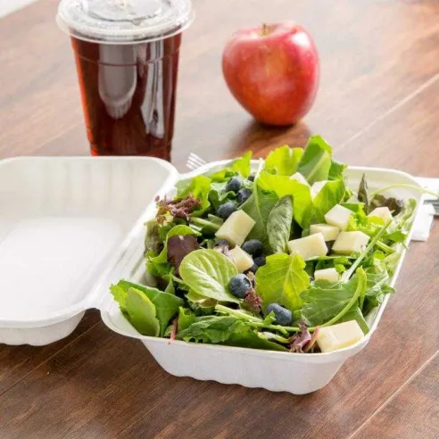 Contenedor Biodegradable de 9 x 6 x 3 Pulgadas, Paquete de 50 Unidades MASTER CHEF BTC-963