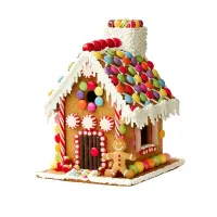 Casa de Jengibre de Galleta, Kit de 20 Piezas FOX RUN BRANDS 48750