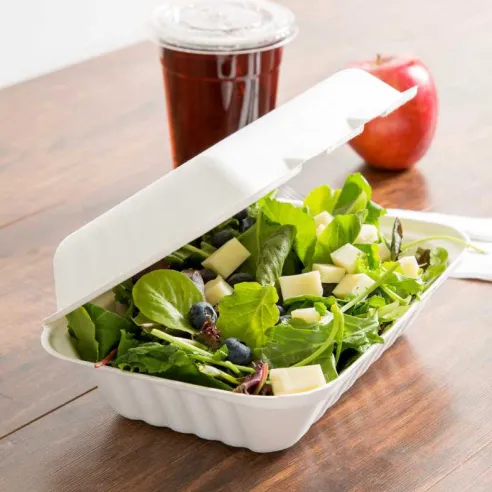 Contenedor Biodegradable de 9 x 6 x 3 Pulgadas, Paquete de 50 Unidades MASTER CHEF BTC-963
