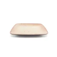 Plato Cuadrado de Melamina de 10.5 Pulgadas de Color Cafe MASTER CHEF B793-GY