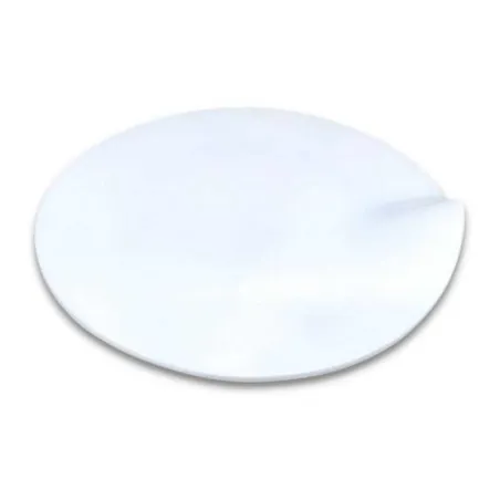 Plato Redondo Llano de Porcelana 10 Pulgadas Blanco ARNI C2195