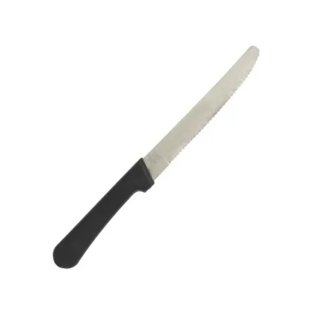 Cuchillo para Carne Punta Redonda con Puno de Plastico de 4 Pulgadas THUNDER SLSK116