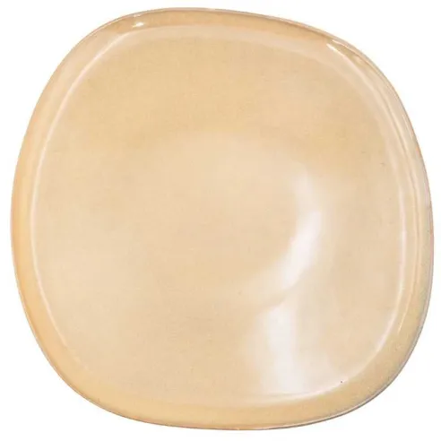 Plato Dublin de Ceramica de 20 Centimetros MASTER CHEF 3748