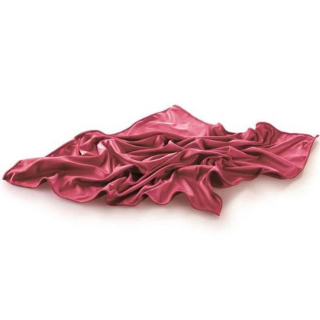 Pano Microfibra de Color Vino de 50 x 50 Centimetros TESCOMA 695480