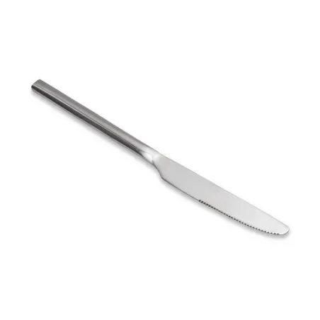 Cuchillo para Cena Nuna de Acero Inoxidable, Set de 6 Unidades TIPS SCL01-30/HJ