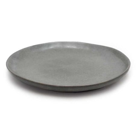 Plato Coupe Leon Redondo de 10 Pulgadas MASTER CHEF AZ82-2