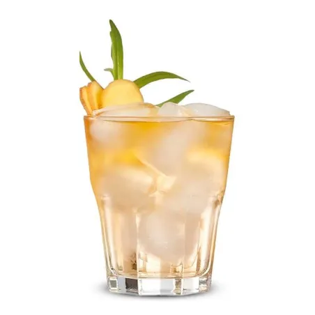 Vaso Old Fashioned Granity de 260 Mililitros ARCOROC L9822