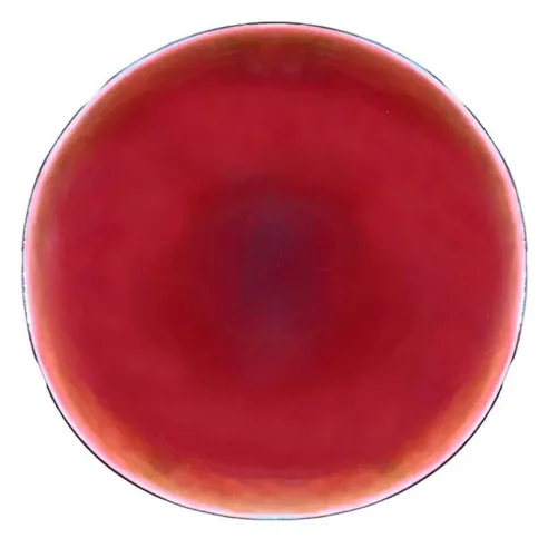 9899633