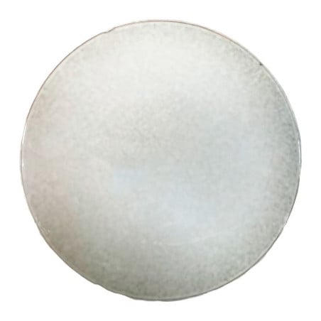 Plato Chicago Coupe de Ceramica 11 Pulgadas Color Crema MASTER CHEF AZ14-1