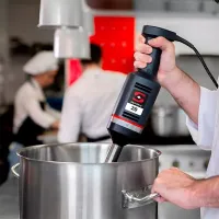 Licuadora Manual de Inmersion de Baston XM-22 de 110V de 30 Centimetros SAMMIC 3030758 2