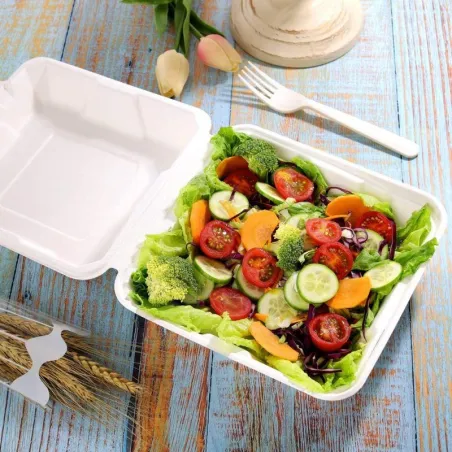 Contenedor Biodegradable de 9 x 9 x 3 Pulgadas, Paquete de 50 Unidades MASTER CHEF BTC-995
