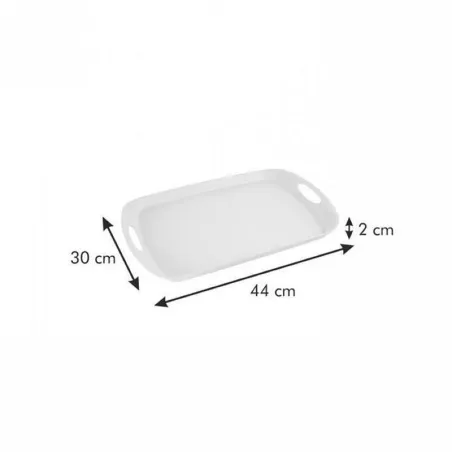 Azafate de Plastico de 44 x 30 Centimetros, Color Oliva TESCOMA 662608