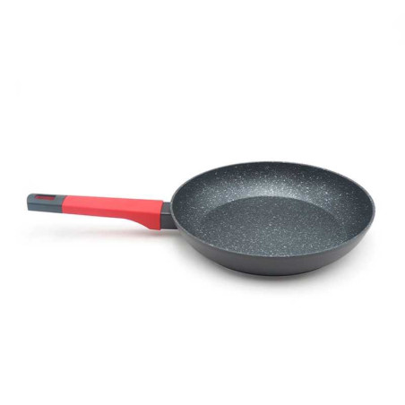 Sarten de Acero de 20 Centimetros TIPS WZG-012-1