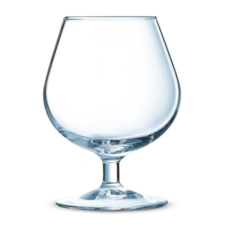 Copa de Degustacion de Brandy de 250 Mililitros ARCOROC 62661