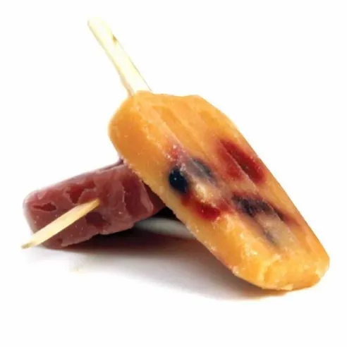 Molde de Paletas de Helado NORPRO 423