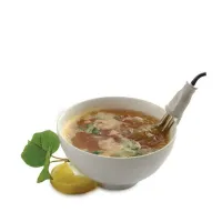 Calentador de Inmersion de Agua NORPRO 559 2